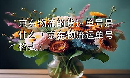 京东物流的货运单号是什么(京东物流运单号格式)