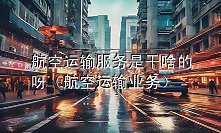航空运输服务是干啥的呀（航空运输业务）