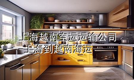 上海越南空运运输公司-上海到越南海运
