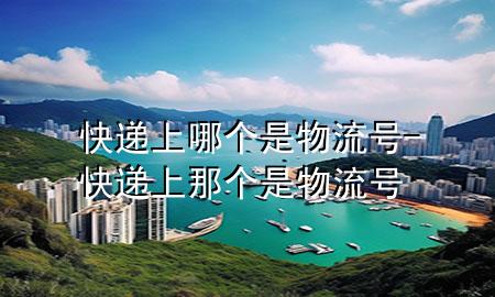 快递上哪个是物流号-快递上那个是物流号