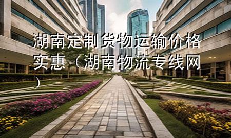 湖南定制货物运输价格实惠(湖南物流专线网)