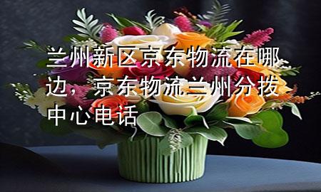 兰州新区京东物流在哪边,京东物流兰州分拨中心电话