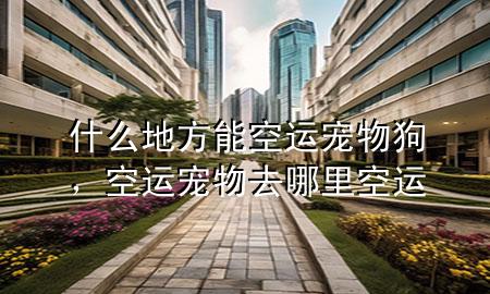 什么地方能空运宠物狗，空运宠物去哪里空运