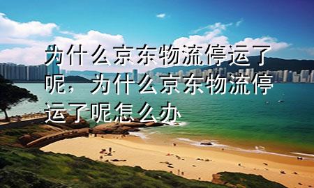 为什么京东物流停运了呢,为什么京东物流停运了呢怎么办