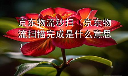 京东物流秒扫(京东物流扫描完成是什么意思)