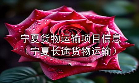 宁夏货物运输项目信息(宁夏长途货物运输)