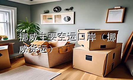 挪威主要空运口岸（挪威货运）