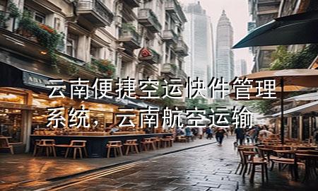 云南便捷空运快件管理系统，云南航空运输