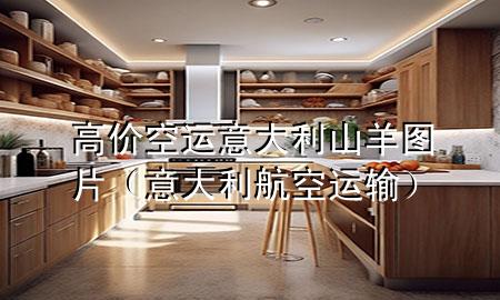 高价空运意大利山羊图片（意大利航空运输）