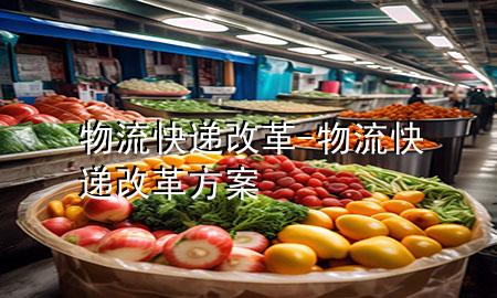 物流快递改革-物流快递改革方案