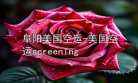 阜阳美国空运-美国空运screening