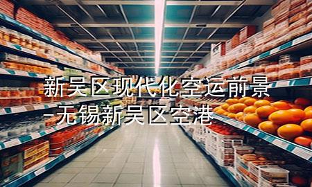 新吴区现代化空运前景-无锡新吴区空港