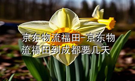 京东物流福田-京东物流福田到成都要几天