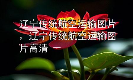 辽宁传统航空运输图片，辽宁传统航空运输图片高清