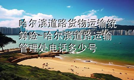 哈尔滨道路货物运输统筹险-哈尔滨道路运输管理处电话多少号