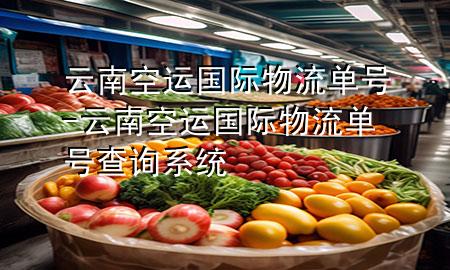云南空运国际物流单号-云南空运国际物流单号查询系统