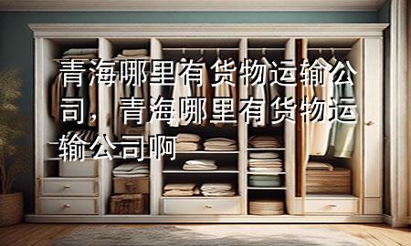 青海哪里有货物运输公司,青海哪里有货物运输公司啊