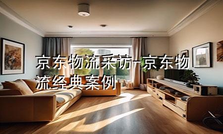 京东物流采访-京东物流经典案例