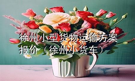 徐州小型货物运输方案报价（徐州小货车）