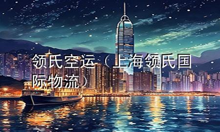 领氏空运（上海领氏国际物流）