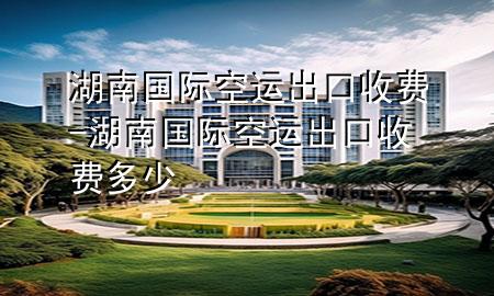 湖南国际空运出口收费-湖南国际空运出口收费多少