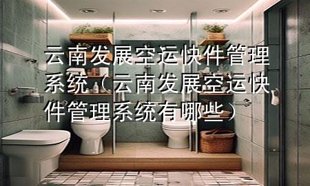 云南发展空运快件管理系统（云南发展空运快件管理系统有哪些）