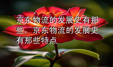 京东物流的发展史有那些，京东物流的发展史有那些特点