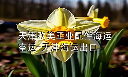 天津欧美工业配件海运空运-天津海运出口