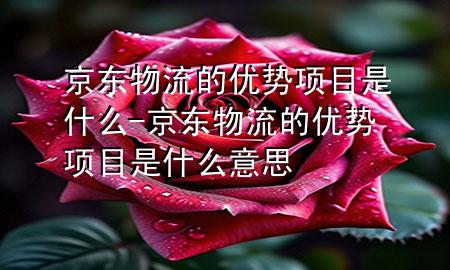 京东物流的优势项目是什么-京东物流的优势项目是什么意思
