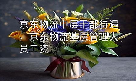 京东物流中层干部待遇,京东物流基层管理人员工资