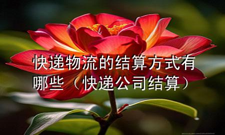 快递物流的结算方式有哪些(快递公司结算)
