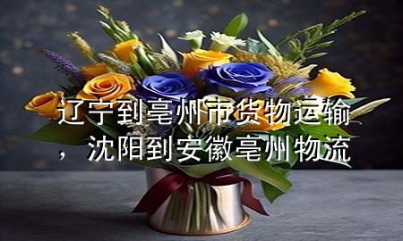 辽宁到亳州市货物运输,沈阳到安徽亳州物流