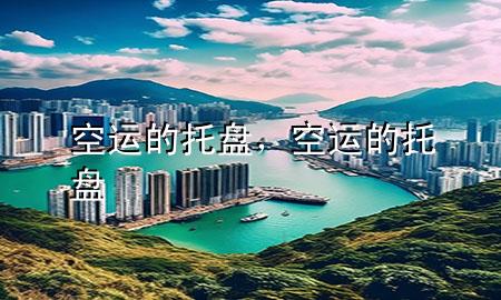 空运 的托盘，空运的托盘
