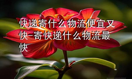 快递寄什么物流便宜又快-寄快递什么物流最快