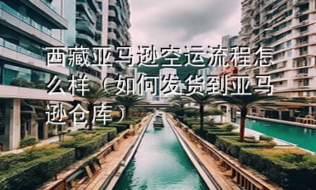 西藏亚马逊空运流程怎么样（如何发货到亚马逊仓库）