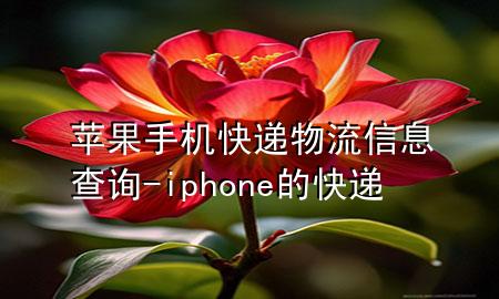 苹果手机快递物流信息查询-iphone的快递