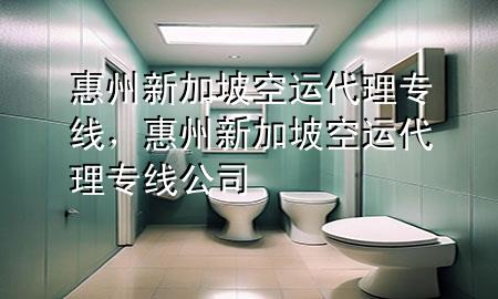 惠州新加坡空运代理专线,惠州新加坡空运代理专线公司