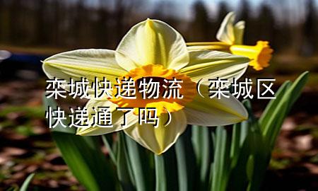 栾城快递物流(栾城区快递通了吗)