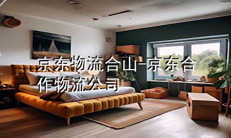 京东物流合山-京东合作物流公司
