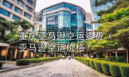 重庆亚马逊空运资费(亚马逊空运价格)