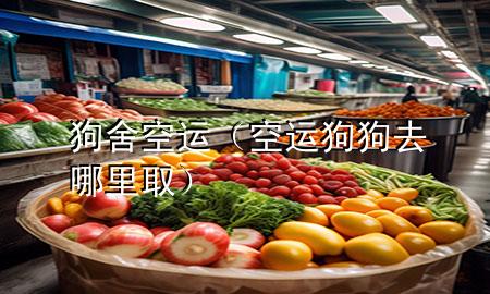 狗舍空运（空运狗狗去哪里取）