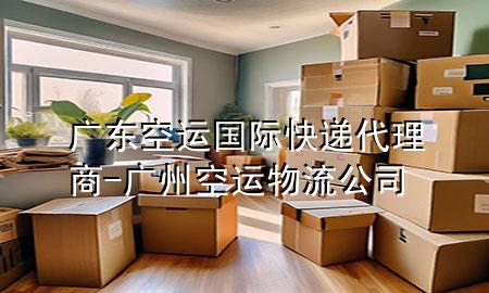 广东空运国际快递代理商-广州空运物流公司