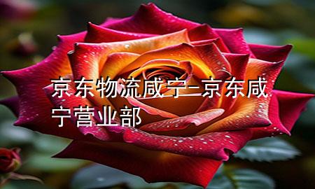 京东物流咸宁-京东咸宁营业部