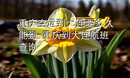 重庆空运到大连要多久能到-重庆到大连航班查询