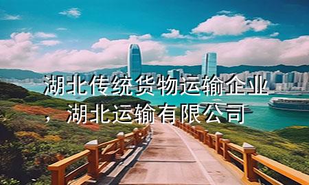湖北传统货物运输企业,湖北运输有限公司