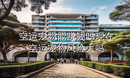 空运宠物能赚钱吗现在，空运宠物风险大吗