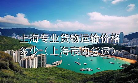 上海专业货物运输价格多少（上海市内货运）