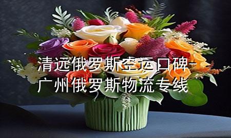清远俄罗斯空运口碑-广州俄罗斯物流专线
