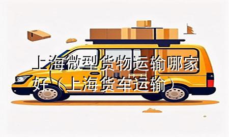 上海微型货物运输哪家好(上海货车运输)