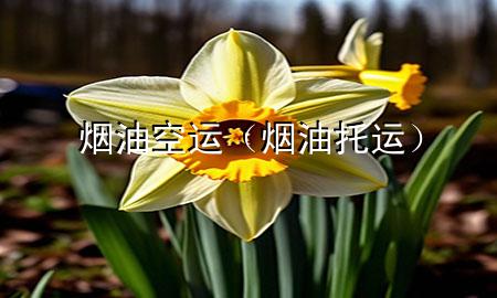 烟油 空运（烟油托运）